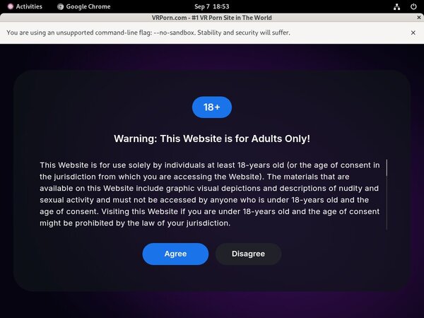 VR Porn Wiki