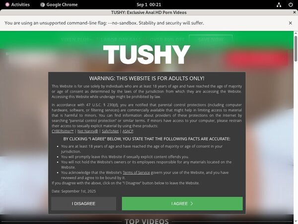 Tushy Free Pron