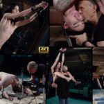 Free Subspaceland Id And Password Free Subspaceland Id And Password